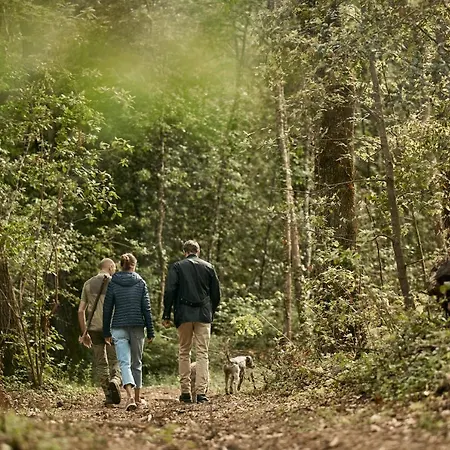 Castello Del Nero מלון Tavarnelle Val di Pesa