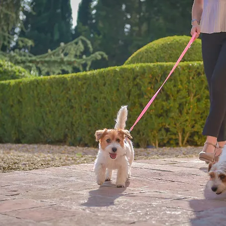 Hotel Castello Del Nero Tavarnelle Val di Pesa